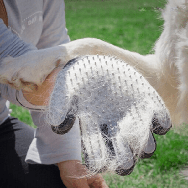 Luva Mágica Removedora de Pelos para Pets